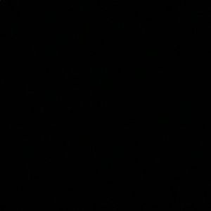 Meet your Posher, Bella